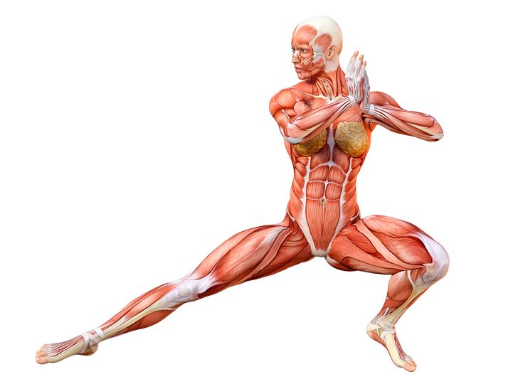 Achieve Cat-Like Flexibility in 4 Weeks