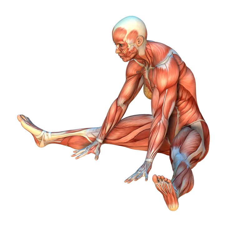 Achieve Cat-Like Flexibility in 4 Weeks