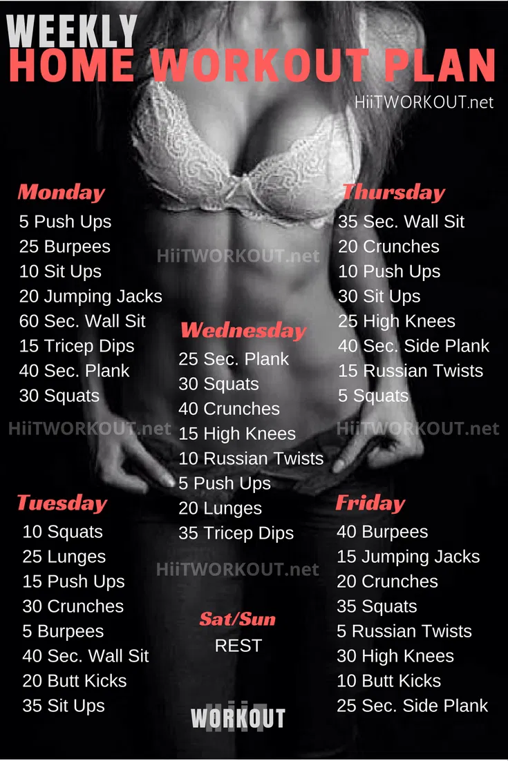 At-Home Beginner Workout Plan