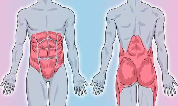 The Elite “Fold” Protocol: One Exercise to Get a Flat Tummy in Just One Month